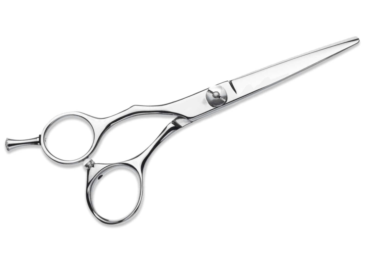 Frizerske škare — salon Olivera